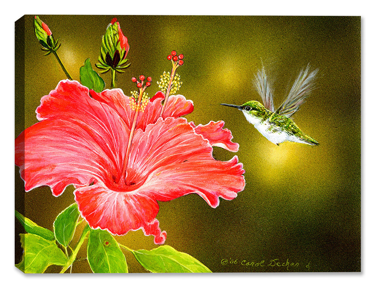 Hummingbird & Hibiscus - Painting printed on Canvas