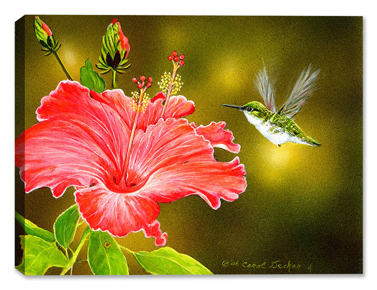 Hummingbird & Hibiscus - Painting by Carol Decker - Canvas Art Plus
