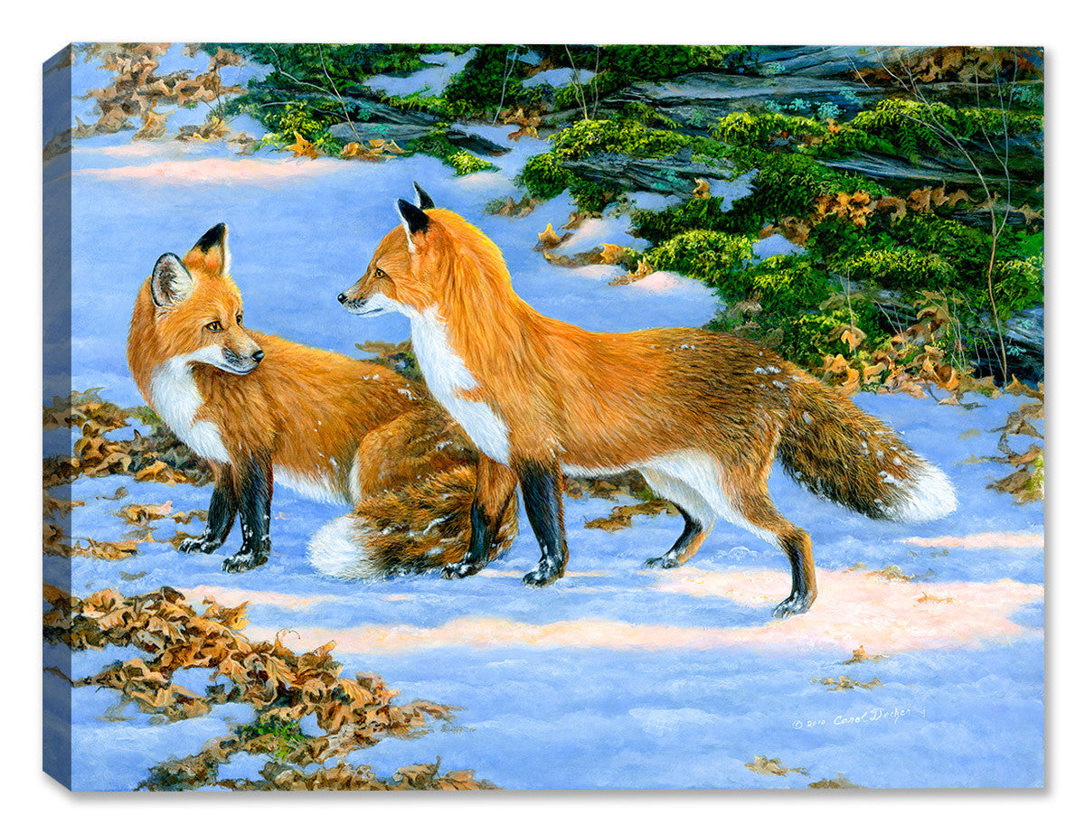 Flirt Fox Canvas Art - by Carol Decker - Canvas Art Plus