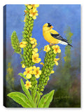 Goldfinch on Flowers - Printed on Canvas