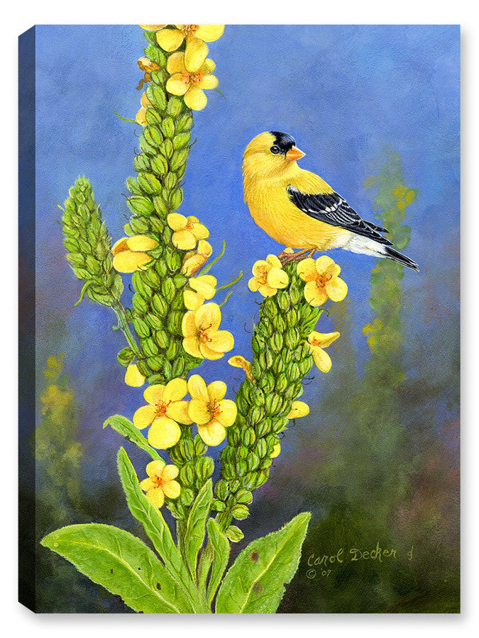 Goldfinch on Flowers - Printed on Canvas