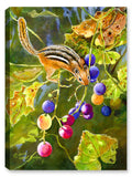 Chipmunk and Grapes - Canvas Art Plus
