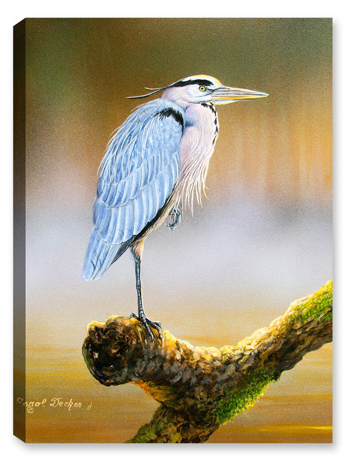 Great Blue Heron on Branch - Printed on Waterproof Canvas