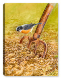 Painting of a Robin perched on hoe.  Printed on Canvas.