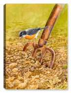 Painting of a Robin perched on hoe.  Printed on Canvas.
