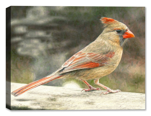 Cardinal (Female) on a Log - Painting