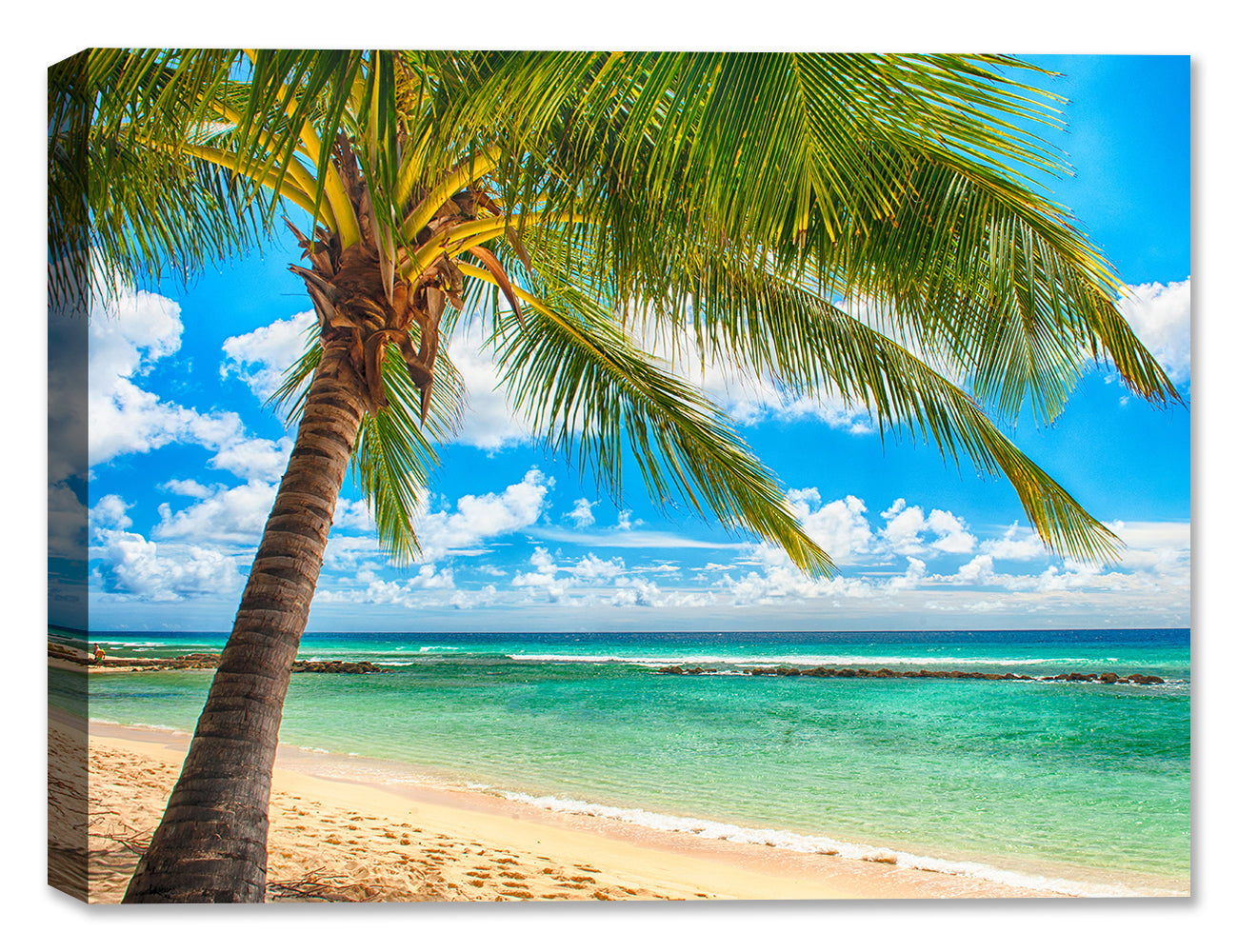 Tropical Beach & Palm Trees  #3