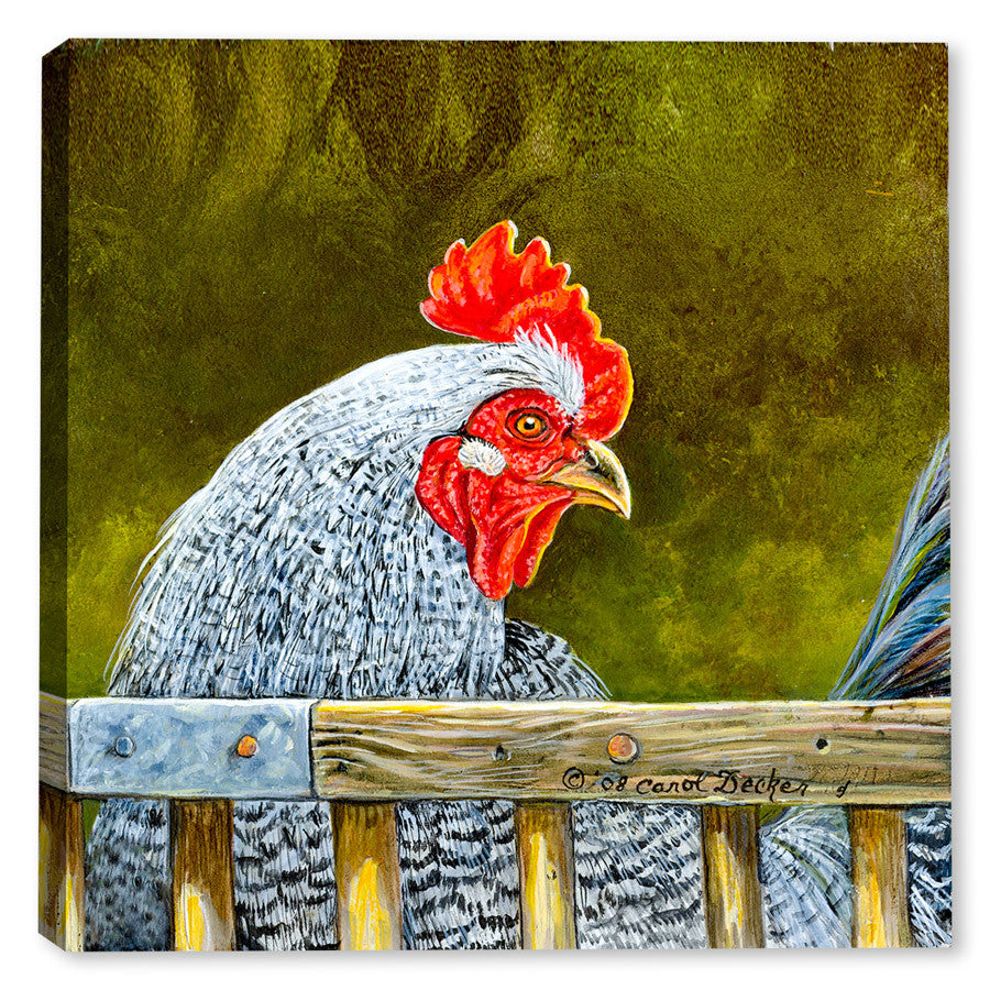 Rooster near the Fence - Canvas Art Plus