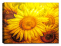 Closeup painting of a Sunflower with rich texture- Printed on Canvas