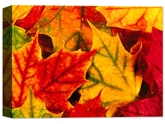 Fall Leaves - Fine Art Canvas Print - Canvas Art Plus