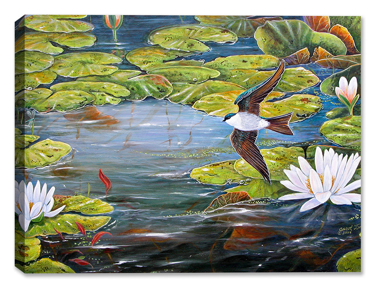 Painting of a Tree Swallow in Flight over a pond Lilies. Printed on Canvas.