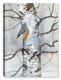 Red Breasted Nuthach Painting by Carol Decker - Canvas Art Plus