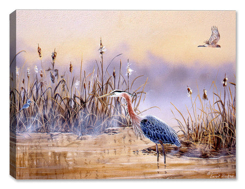 Blue Heron in Wetlands - Painting by Carol Decker - Printed on Canvas Wrap