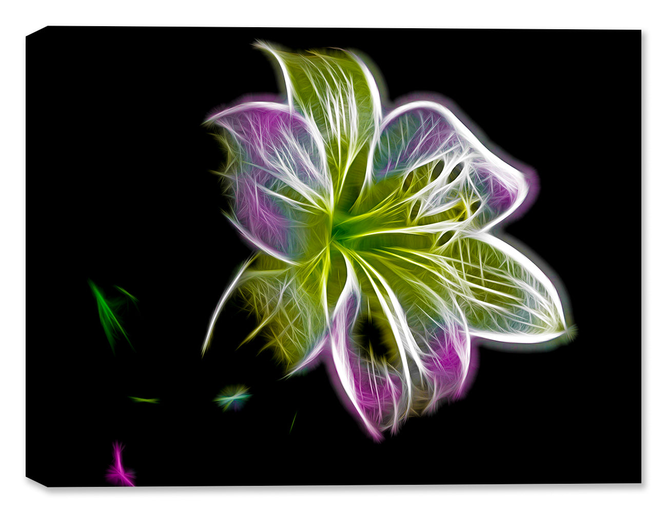 Multi Color Digital Flower #1