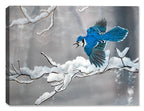 Painting of a Bluejay in Winter by Carol Decker - printed on a canvas wrap.