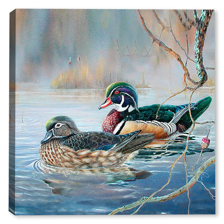 Wood Ducks and Bobber II - Canvas Art Plus